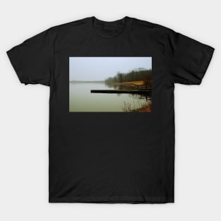 Winter Afternoon T-Shirt